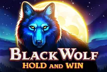 RTP quickspin  warriorbet88